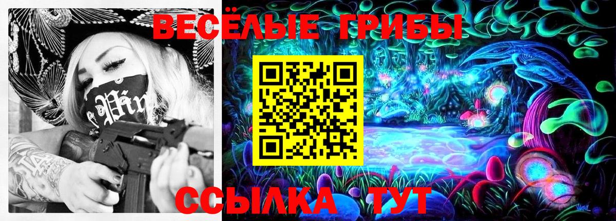 Псилоцибиновые грибы Psilocybe Холмск